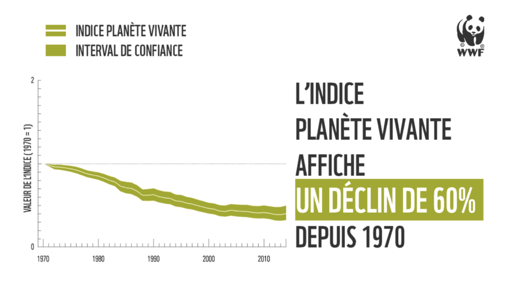 Rapport WWF Planète Vivante 2018 Act for your Planet